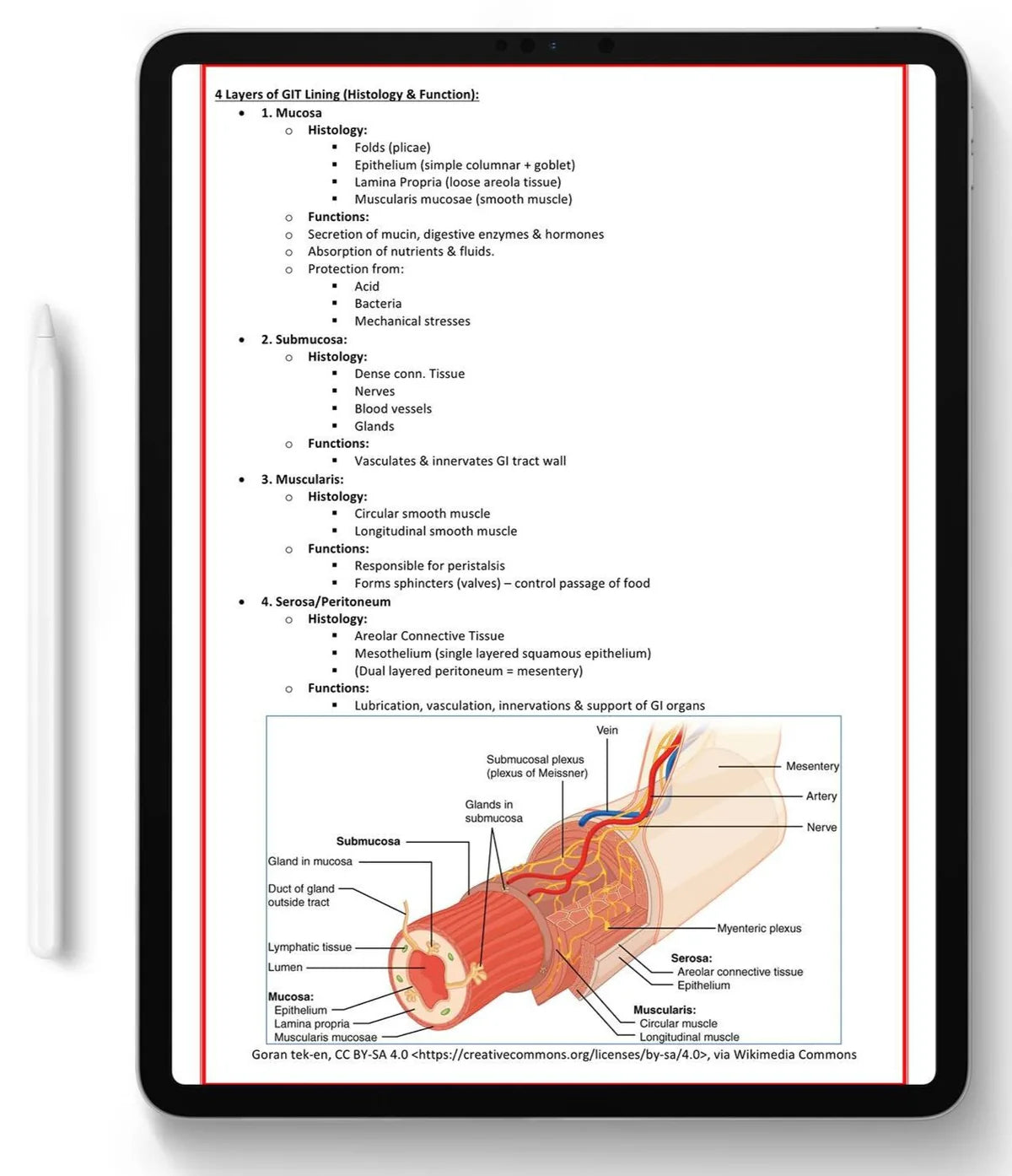 All 21 Medical Notes Bundle