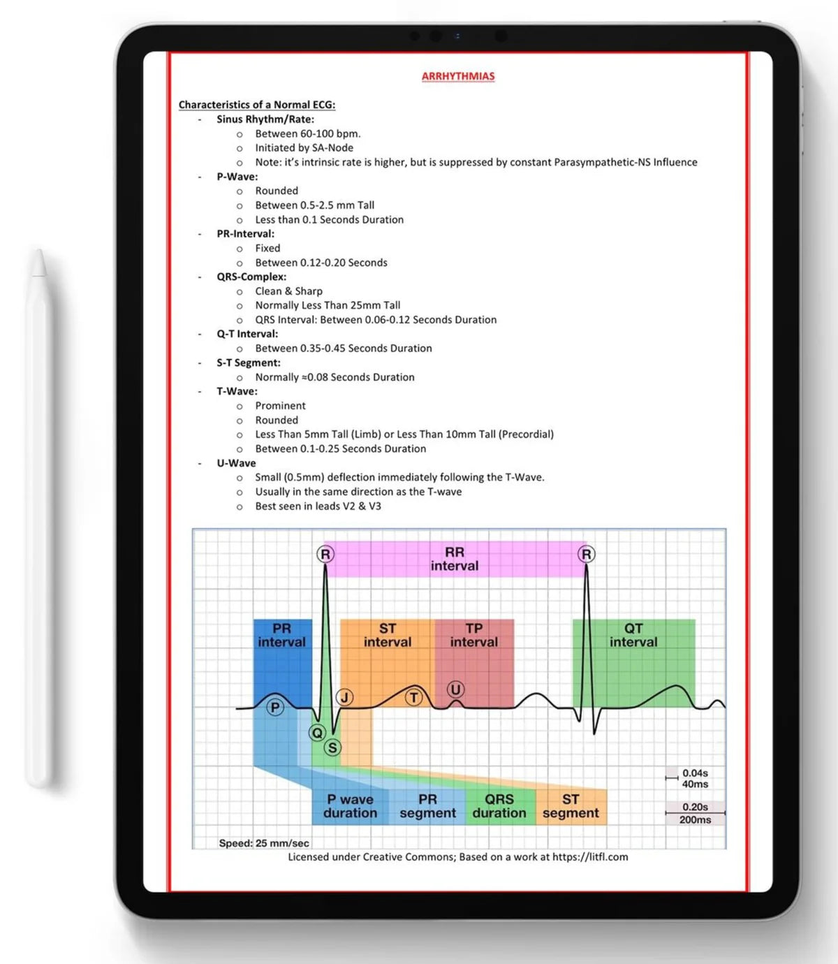 All 21 Medical Notes Bundle