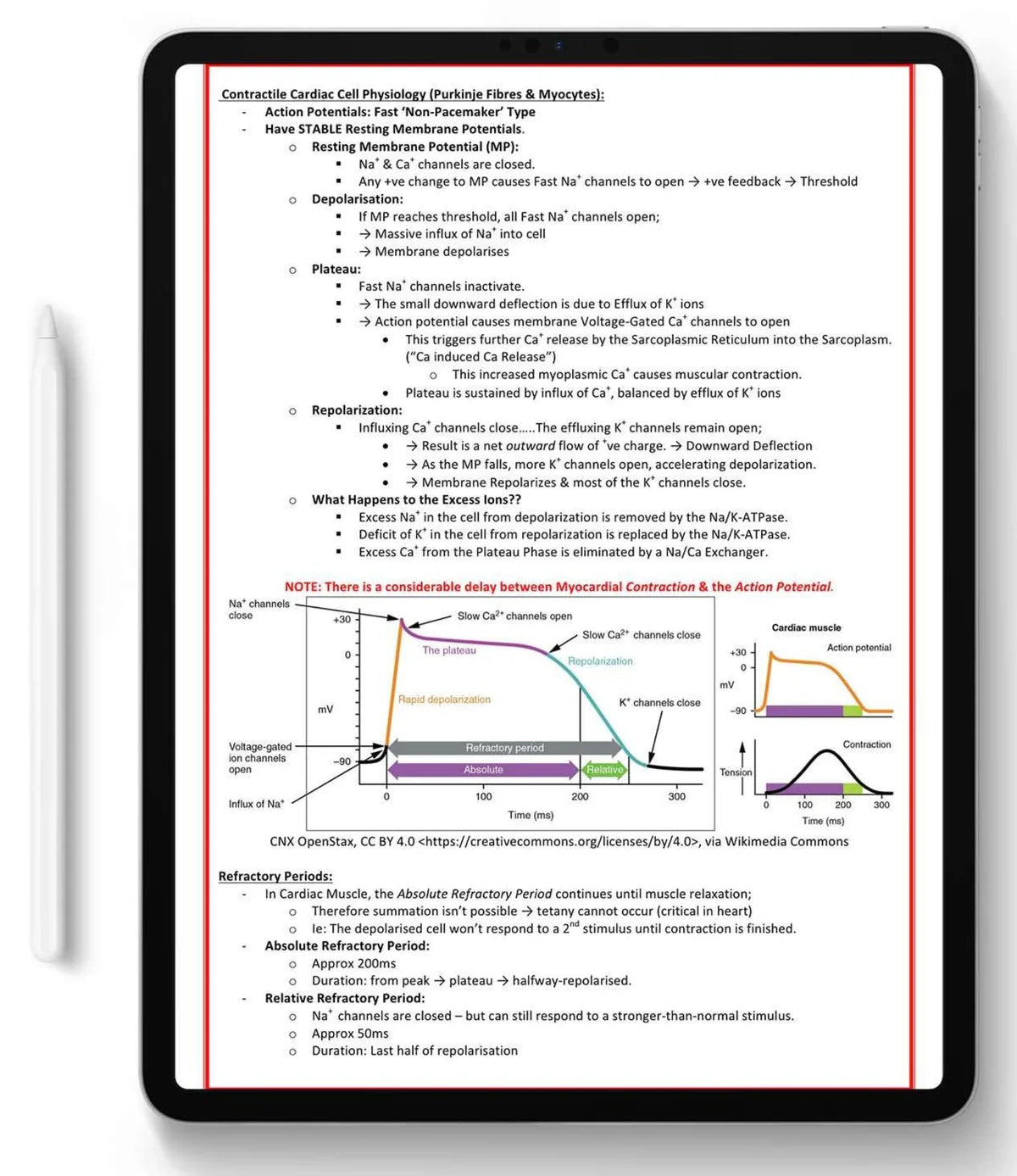 All 21 Medical Notes Bundle