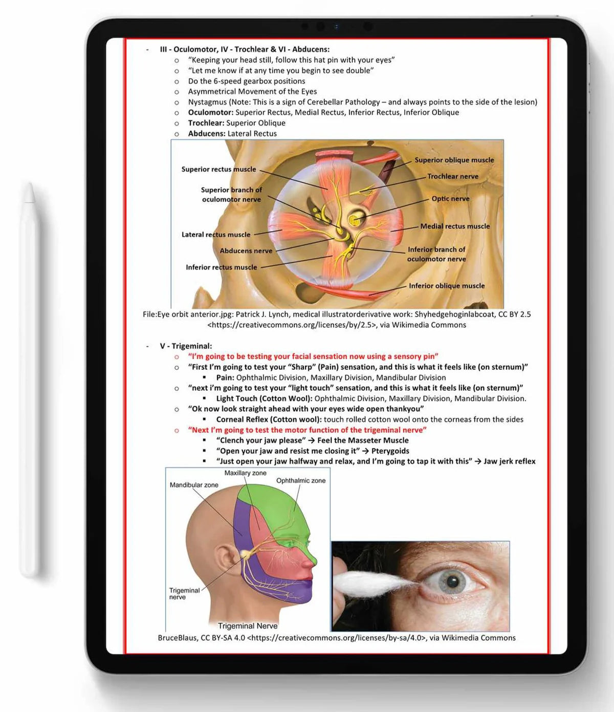 All 21 Medical Notes Bundle