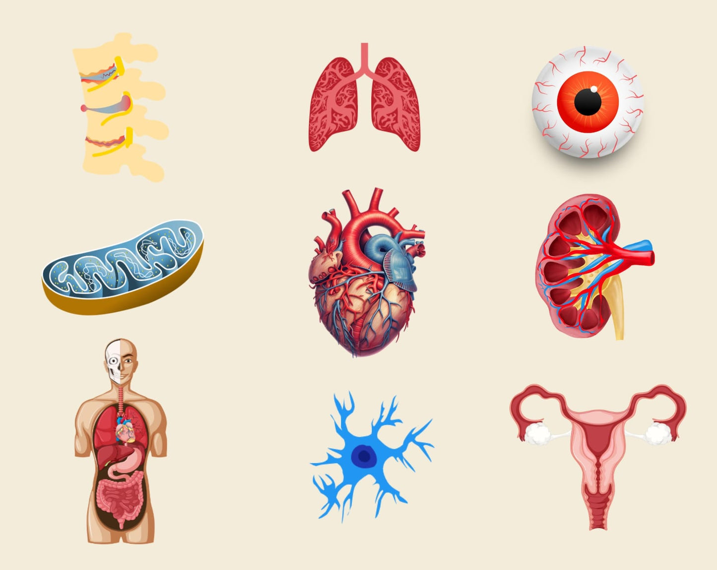 4000 + Biology Digital Stickers