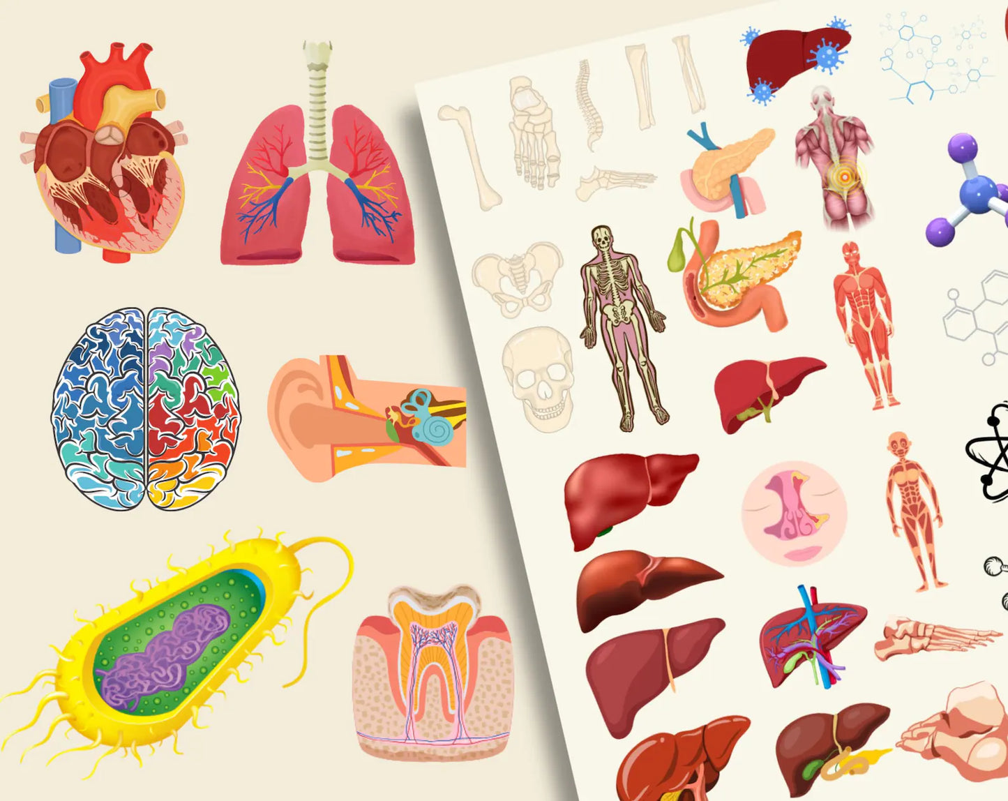 4000 + Biology Digital Stickers