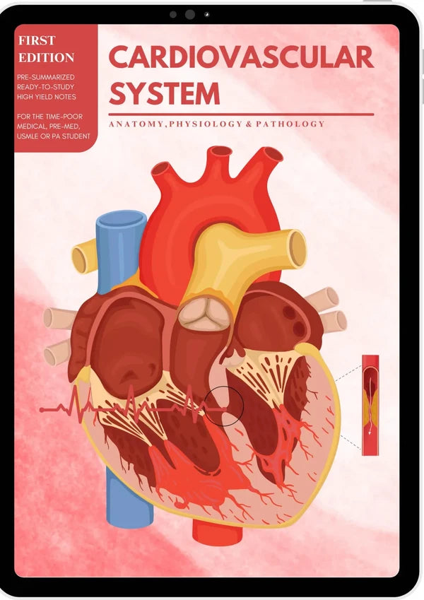 All 21 Medical Notes Bundle